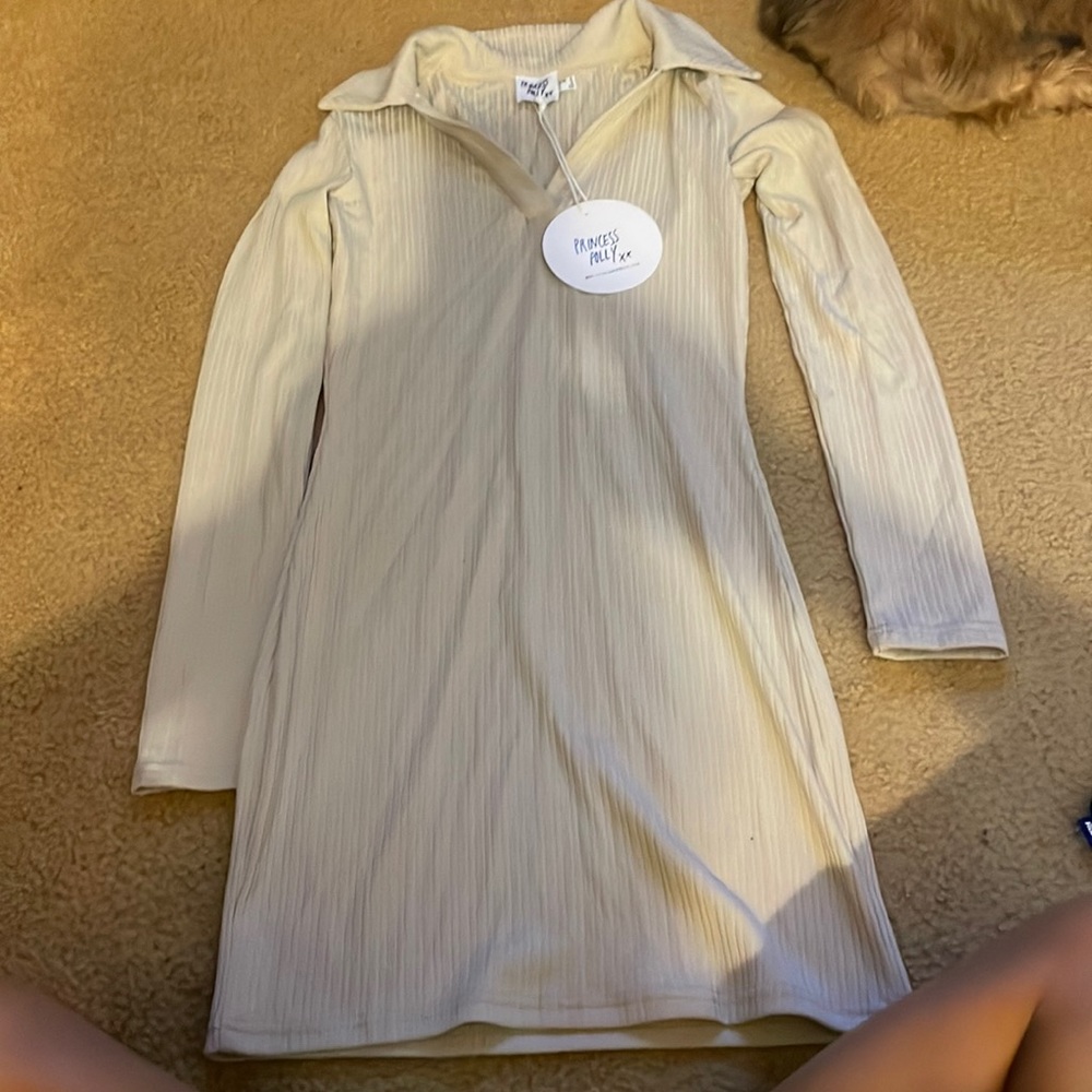 Brand new princess polly dress